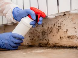 Why You Should Choose Our Mold Remediation Services in Rock Hall, MD